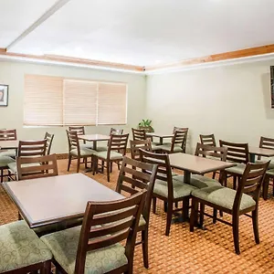 Quality & International Airport Hotel